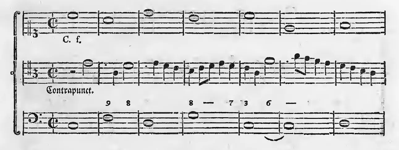 Alb1790-S111-02.webp