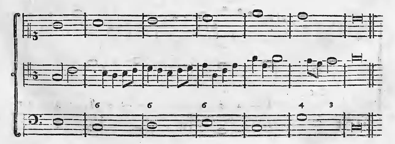 Alb1790-S111-03.webp