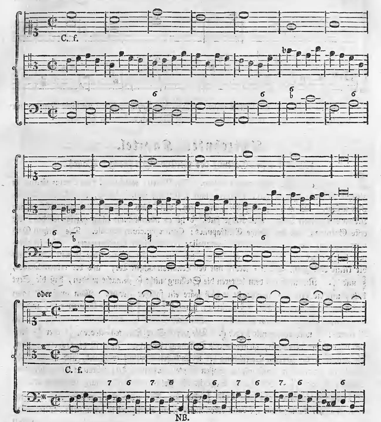 Alb1790-S119-01.webp
