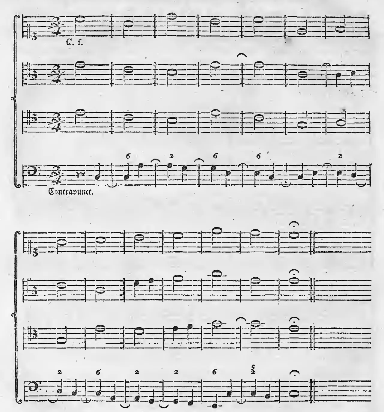 Alb1790-S142-01.webp