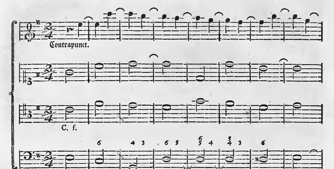 Alb1790-S144-01.webp