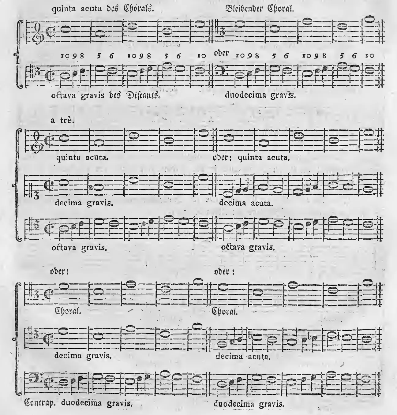 Alb1790-S335-01.webp