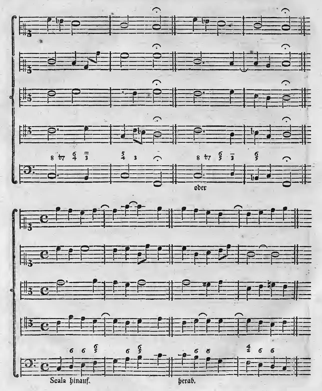 Alb1790-S370-01.webp