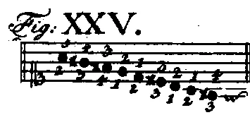 Bach1753-Tab1-Fig25.webp