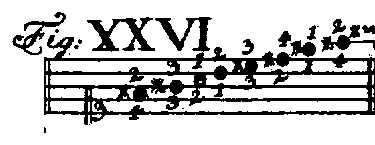 Bach1753-Tab1-Fig26.webp