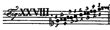 Bach1753-Tab1-Fig28.webp