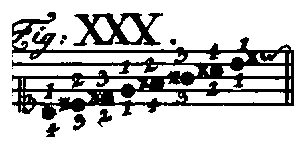 Bach1753-Tab1-Fig30.webp