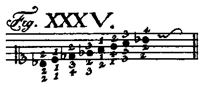 Bach1753-Tab1-Fig35.webp