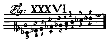 Bach1753-Tab1-Fig36.webp