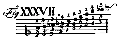 Bach1753-Tab1-Fig37.webp