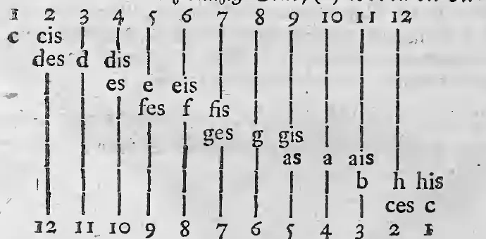 21 Töne Schema.webp
