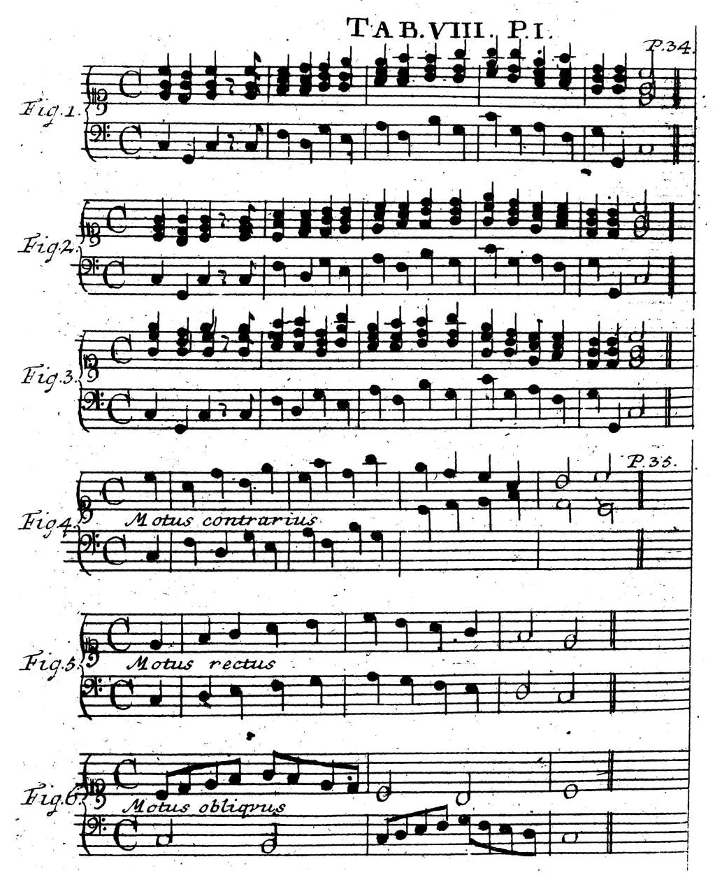 Sorge1745-Tab08.webp