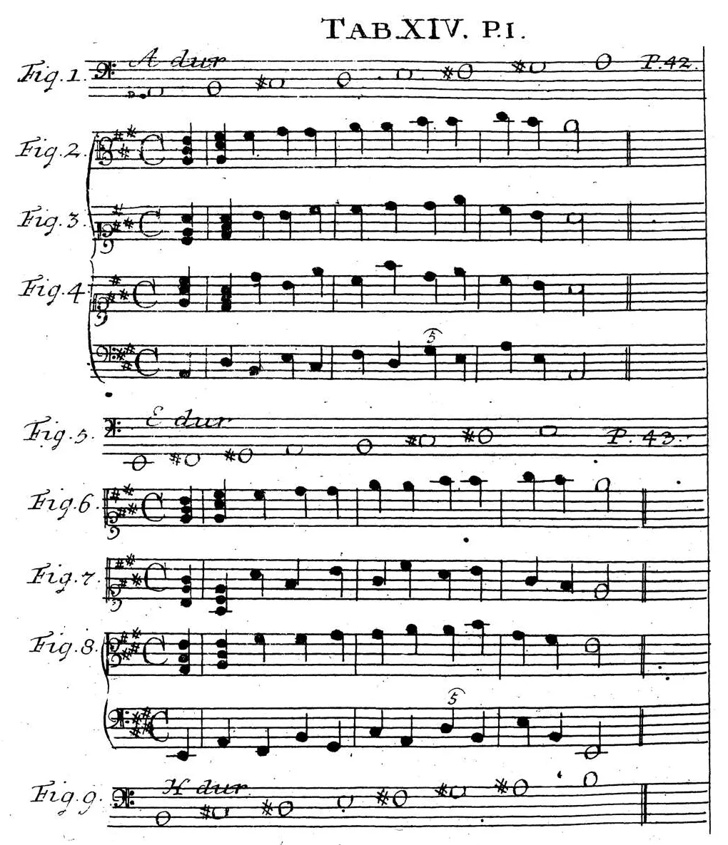 Sorge1745-Tab14.webp
