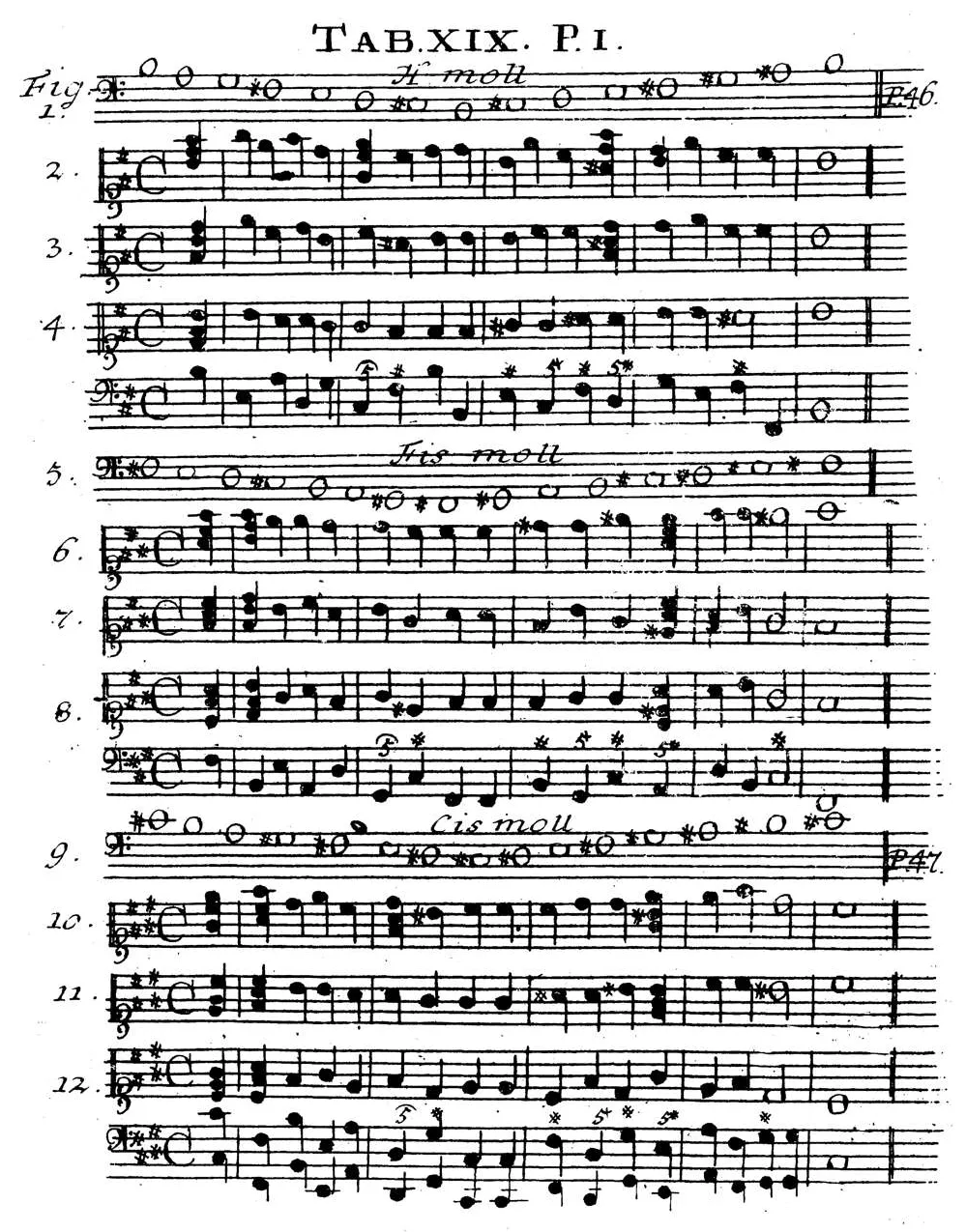 Sorge1745-Tab19.webp
