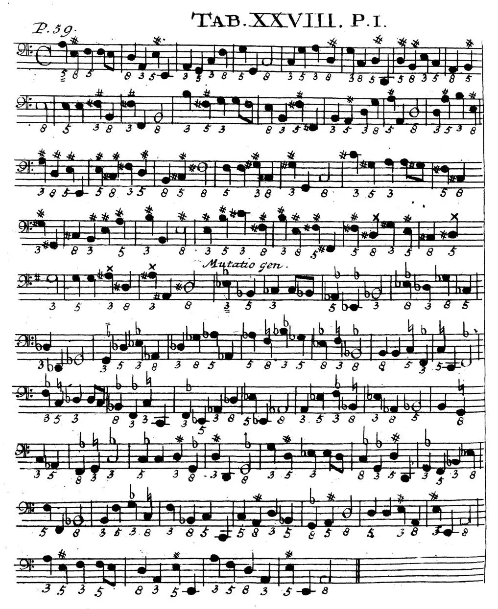 Sorge1745-Tab28.webp