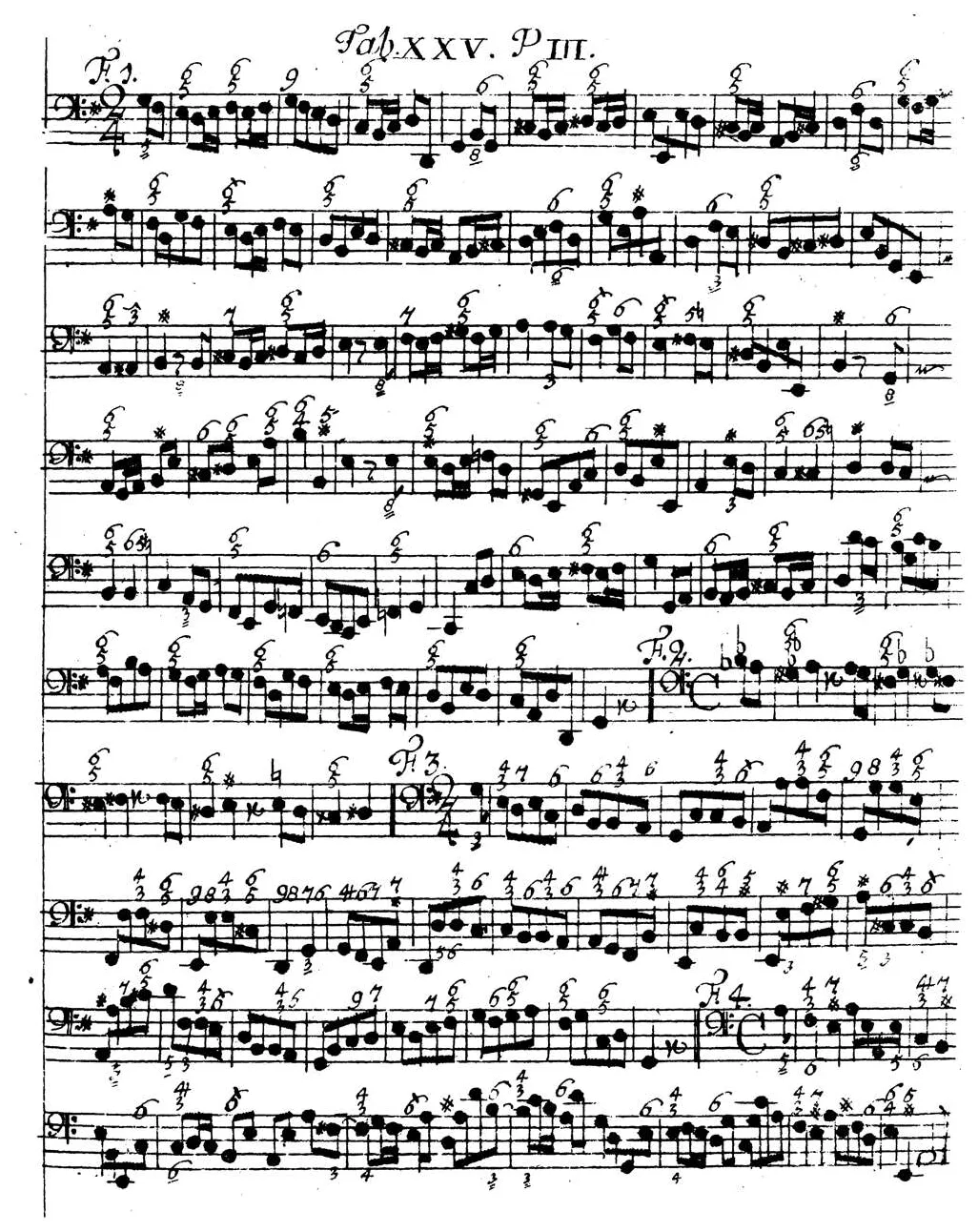 Sorge1747-Tab25.webp