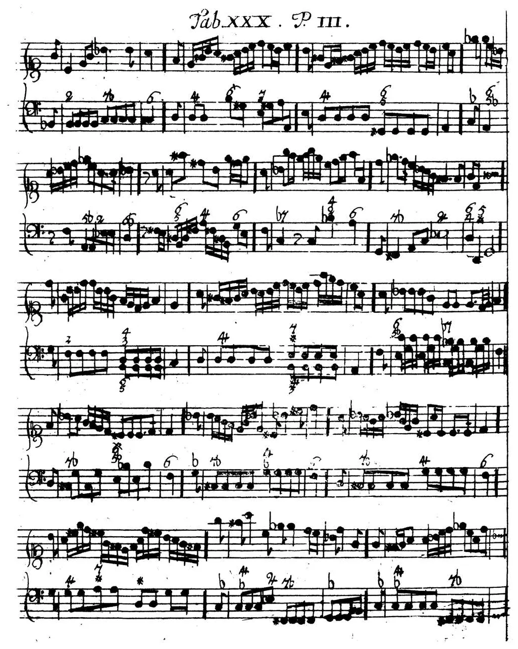 Sorge1747-Tab30.webp