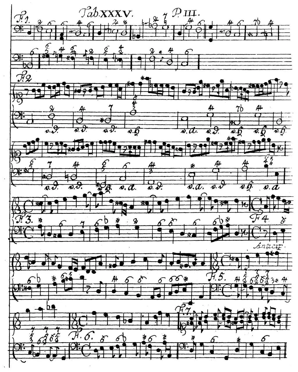 Sorge1747-Tab35.webp