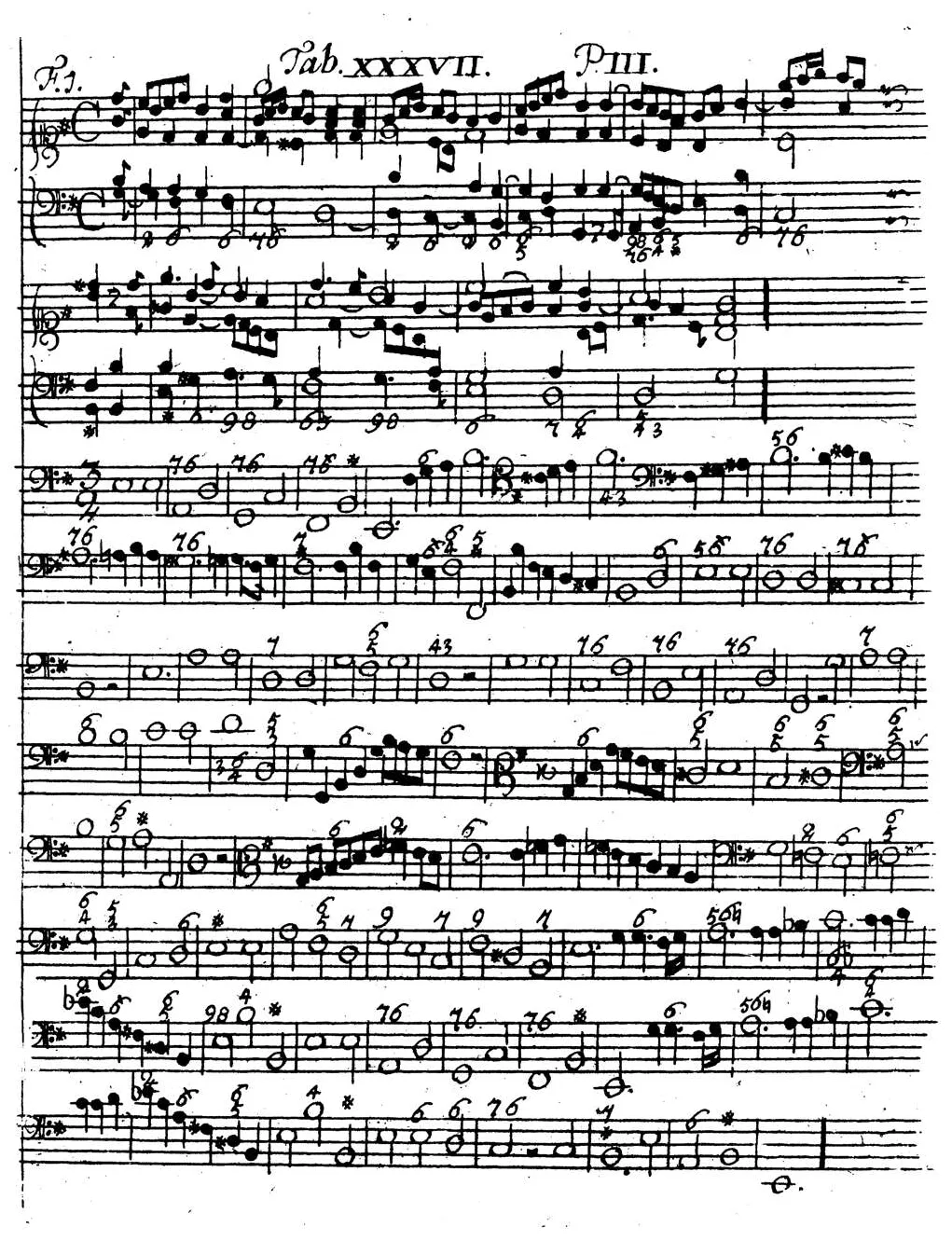 Sorge1747-Tab37.webp