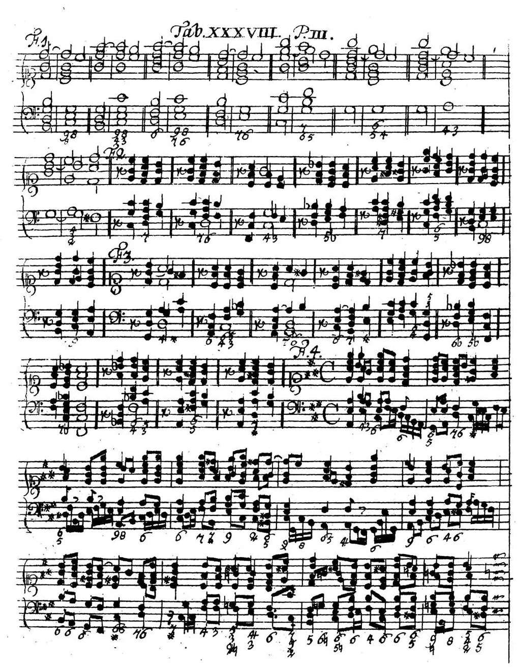 Sorge1747-Tab38.webp