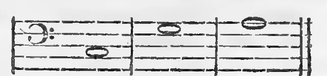 Sulzer1771-S185-05.webp