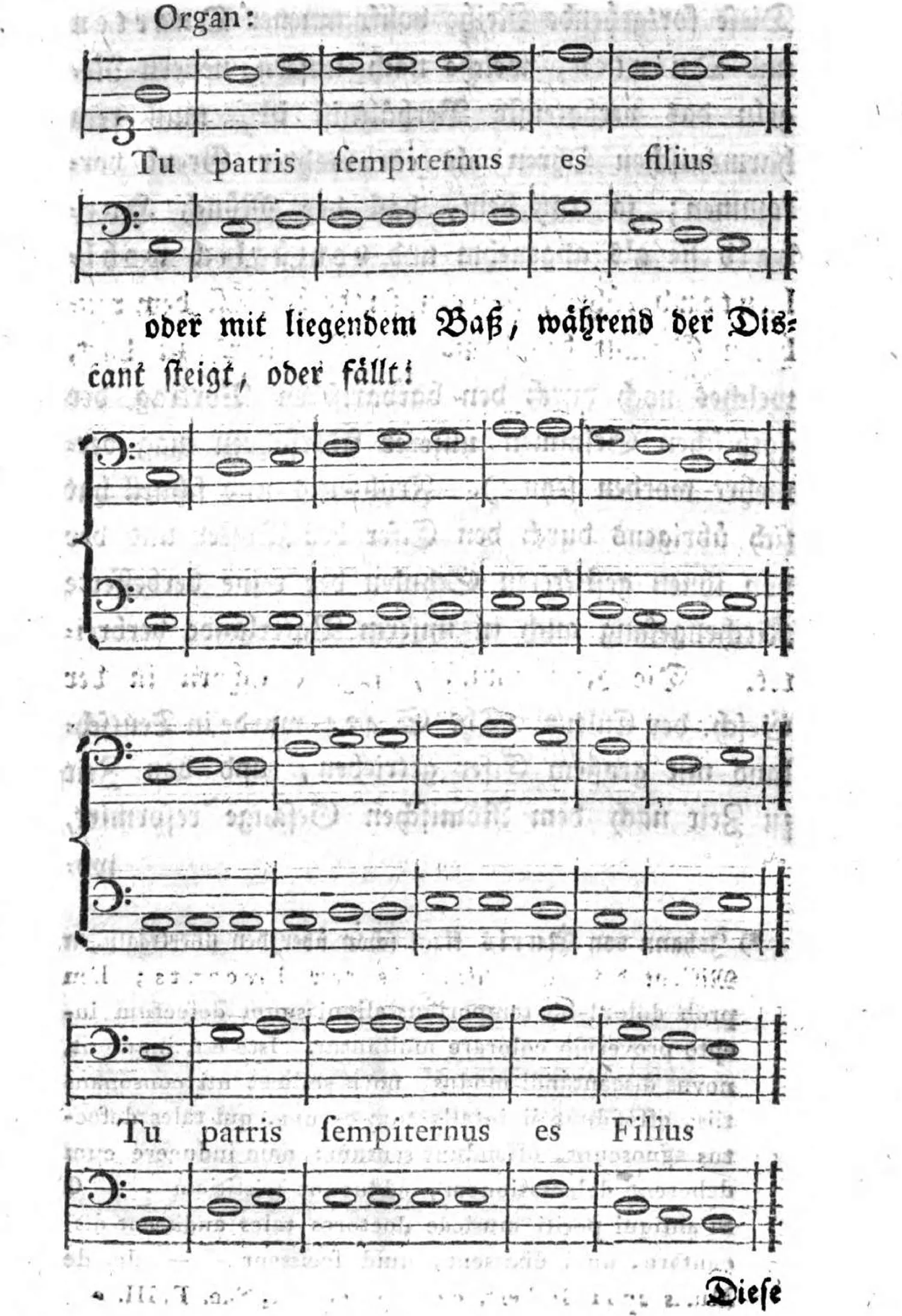 Notenbeispiele PDF-S. 47: mehrstimmiges Organum, Text „Tu patris sempiternus es filius
