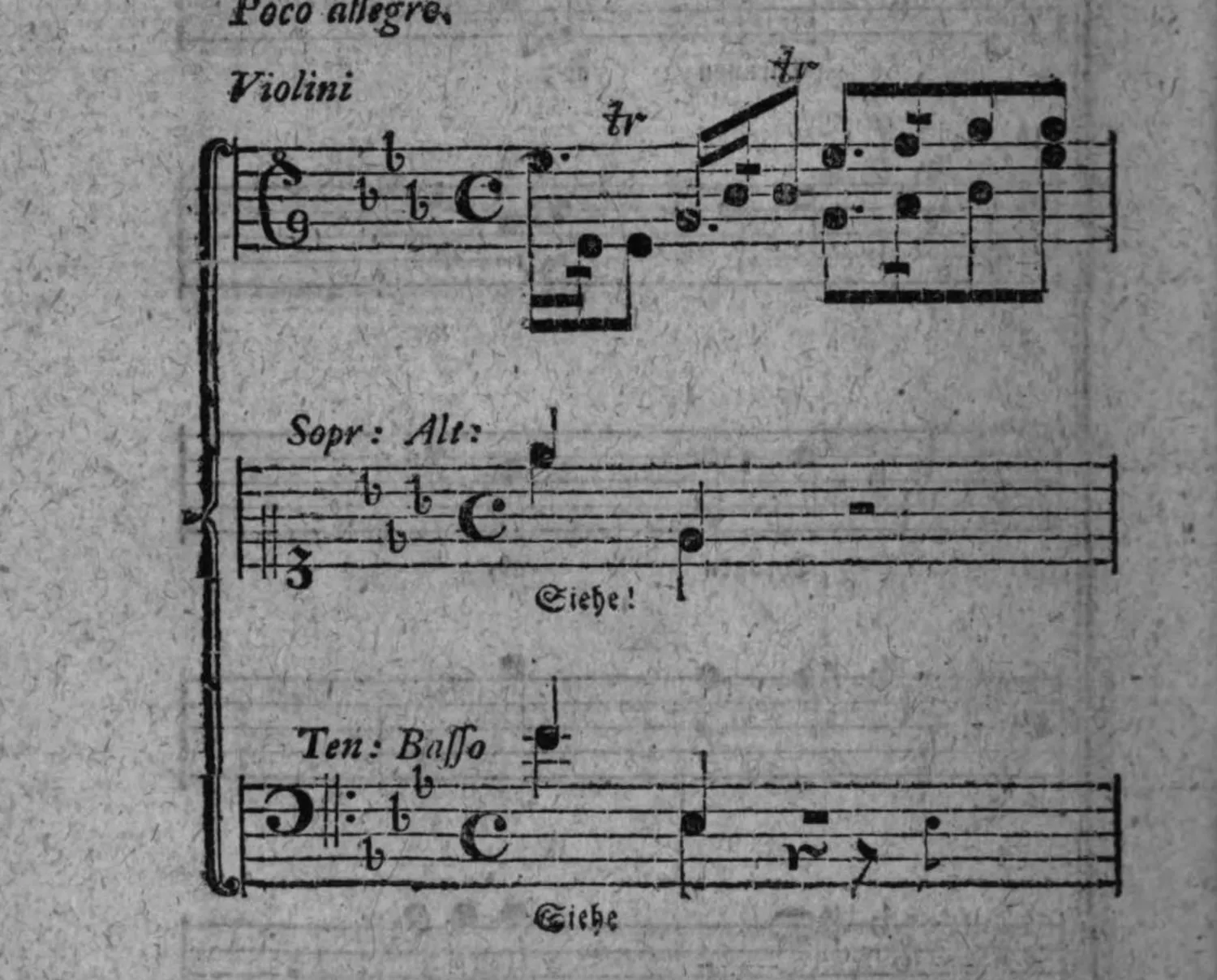 Notenbeyspiel: »Poco allegro.«, drey Systeme: Violini, Sopr: Alt: (mit Anmerkung »Siehe!«) und Ten: Basso (mit Anmerkung »Siehe«)