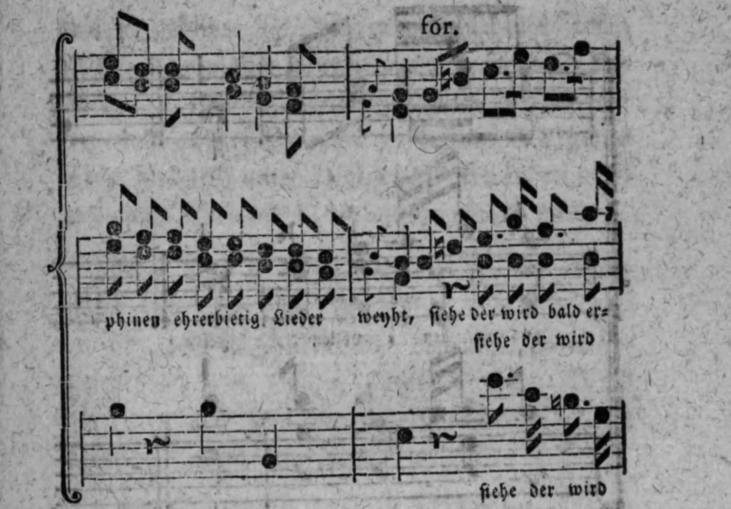 Notenbeyspiel: Fortsetzung, Violini (mit »for.«), Sopr: Alt: (mit Textunterlegung »phinen ehrerbietig Lieder weyht, siehe der wird bald er=«, imitatorisch versetzt »siehe der wird«) und Ten: Basso (mit Textunterlegung »siehe der wird«)