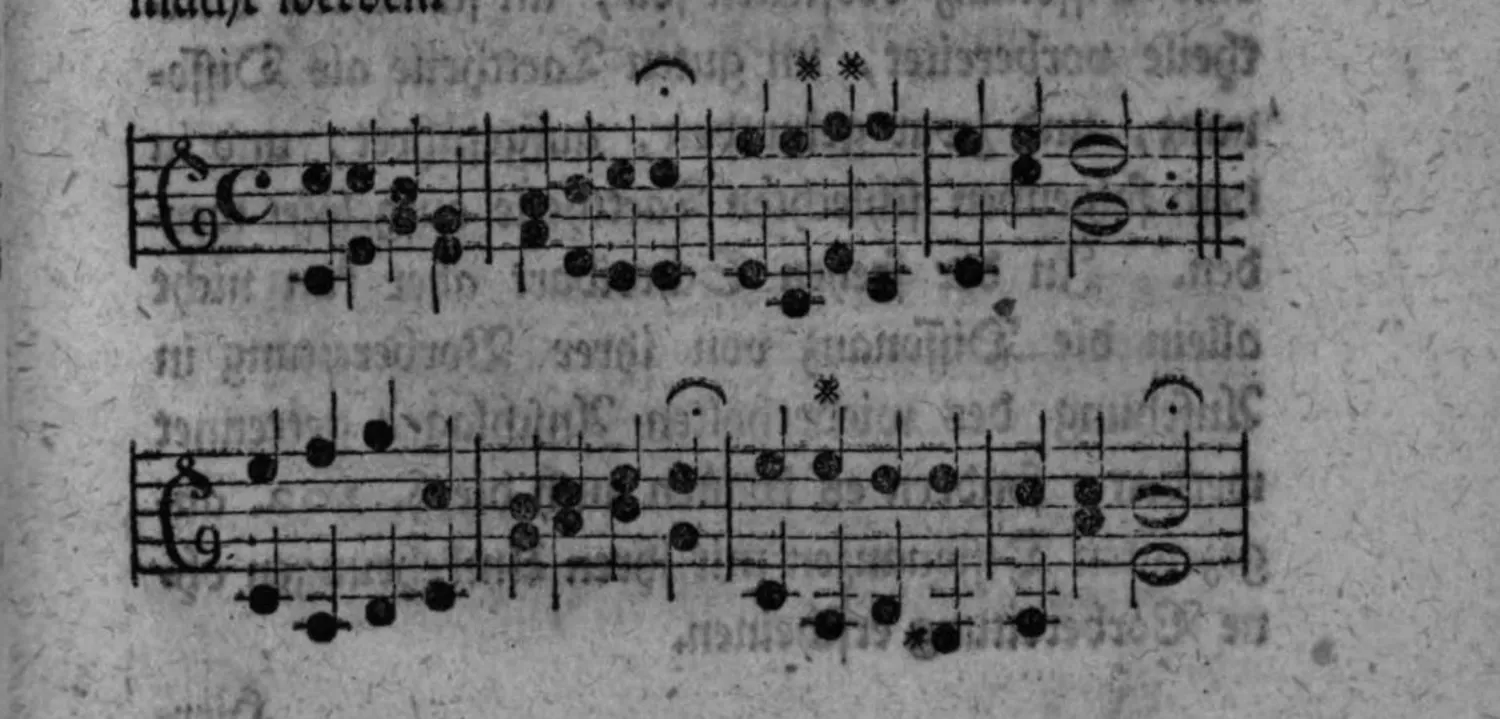 Notenbeyspiel: zwey zweistimmige Sätze (Alt-/Tenorschlüssel) zum festen Gesang aus §. 205, mit sternchenmarkierten zufälligen Accorden der Tonart durchsetzt